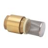 Check Valve Brass G1 Single Way Good Sealing 99mm Length with Filter Accessory for Water Oil