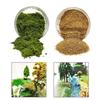 Miniature Synthetic Turf Ground Cover for Model Architecture Layout Props Teens