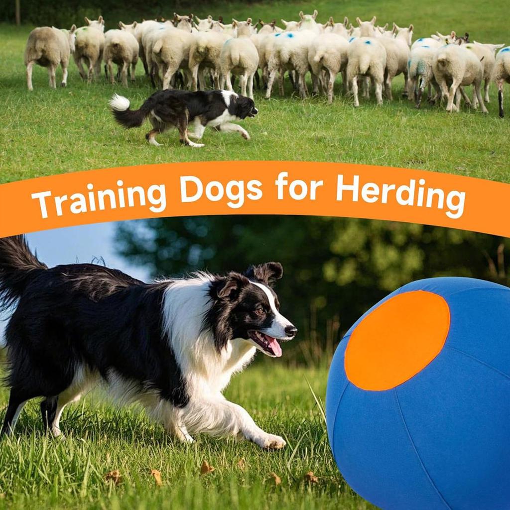 Herding Ball for Dogs with Protective Cover & Pump Interactive Dog Toy To Keep Them Busy Outdoor Training & Backyard Play
