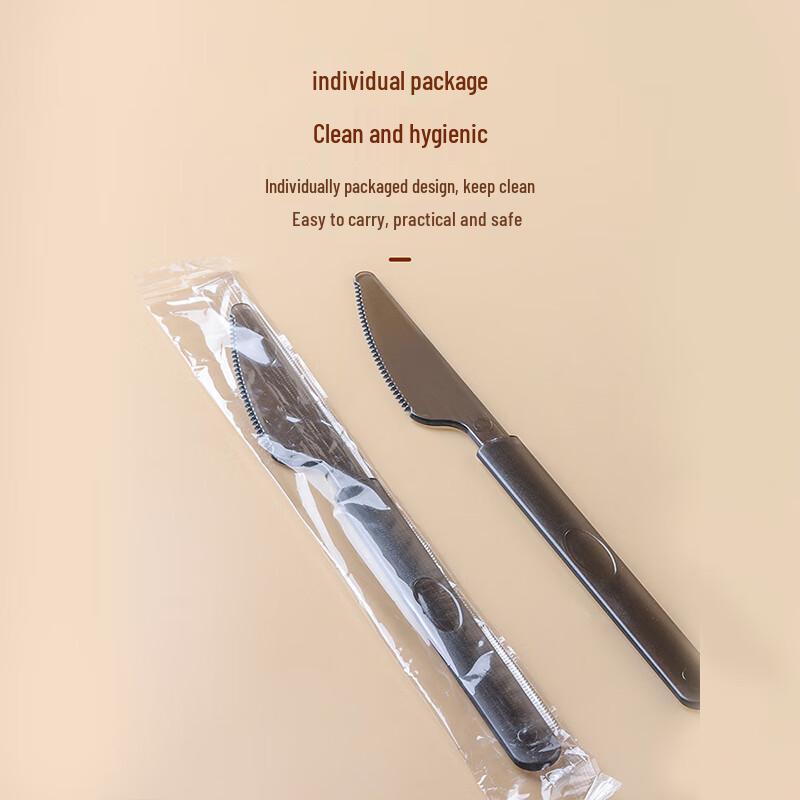 Disposable Plastic Spoons, Forks, and Knives