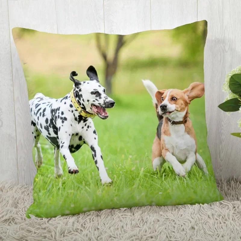 Pillowcase Dalmatians Pillowcase Modern Home Living Room Decoration Pillowcase Customizable
