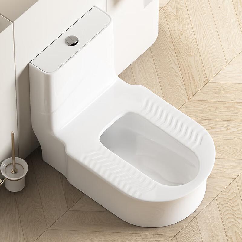 Easi Squat-Sit Dual-Use Ceramic Toilet