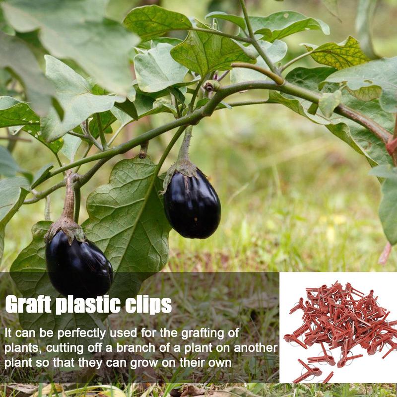 50PCS Plant Grafting Clip Plastic Gardening Tool For Cucumber Eggplant Watermelon Round Mouth Flat Mouth Anti-fall Trellis Clips
