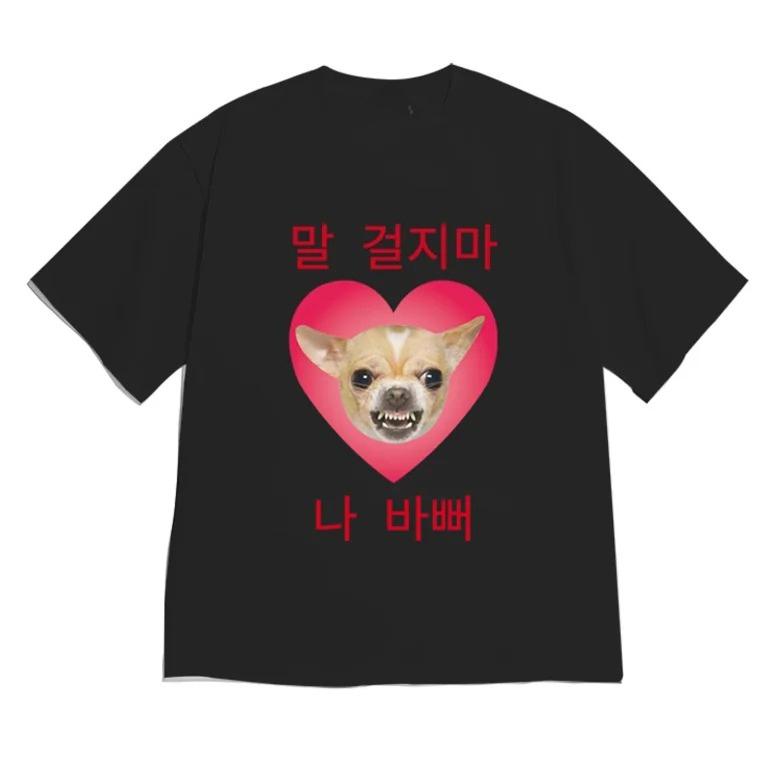 KoreanStyle Playful Cat Meme TShirtDont Talk To MeIm BusyGraphic Tee Casual ShortSleeve Top TrendyFun KoreanInspired Style