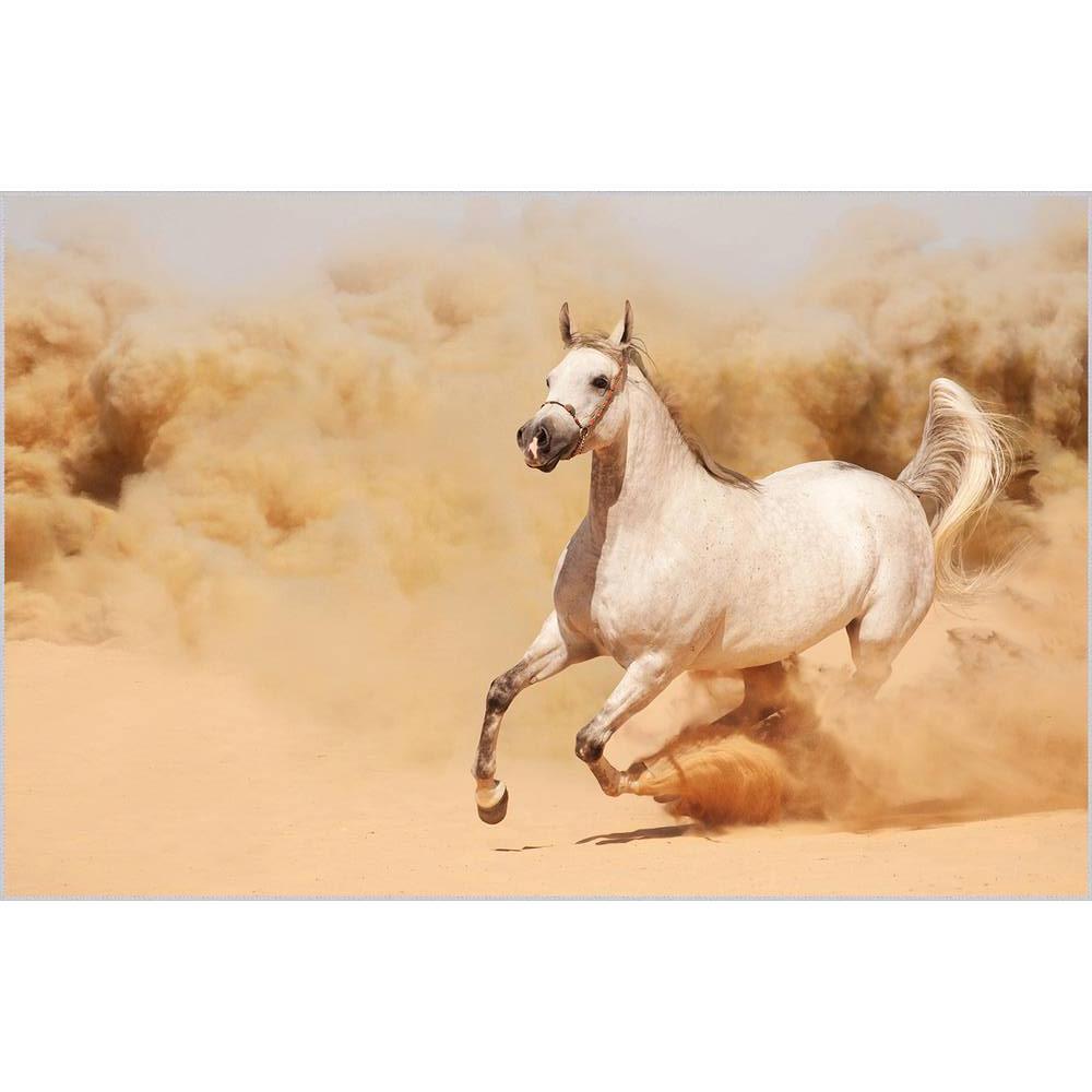 Rovigo Home Covor Imprimat Lavabil RVG1896-SD097