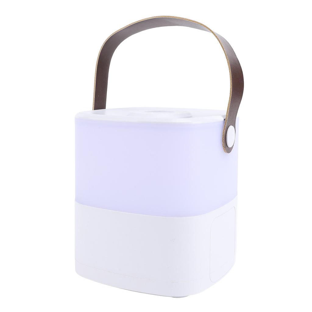 Dimmable Touch Lamp with Handle for Bedroom Rechargeable Adjustable Color Temperature Bedside Table Lamp