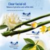 Daishizhe Facial Cleanser