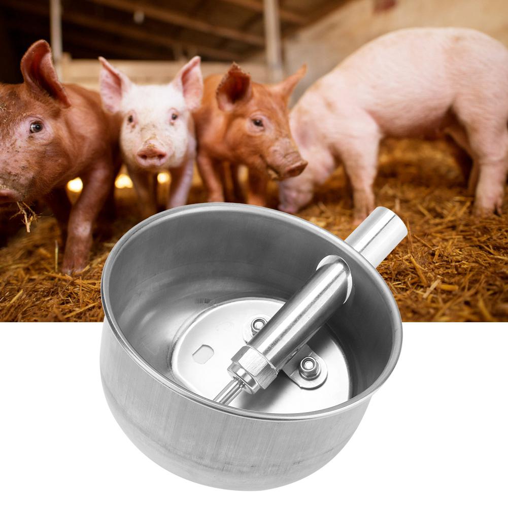 Stainless Steel Pig Drinking Water Bowl Piglets Automatic Drinking Fountains Feeder Equipment