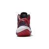 Li Ning Youth Pioneer Team 2.0 Stable Support Low-Top Basketball Shoes Kids sneaker Cinnabar-Red YKBS004-13