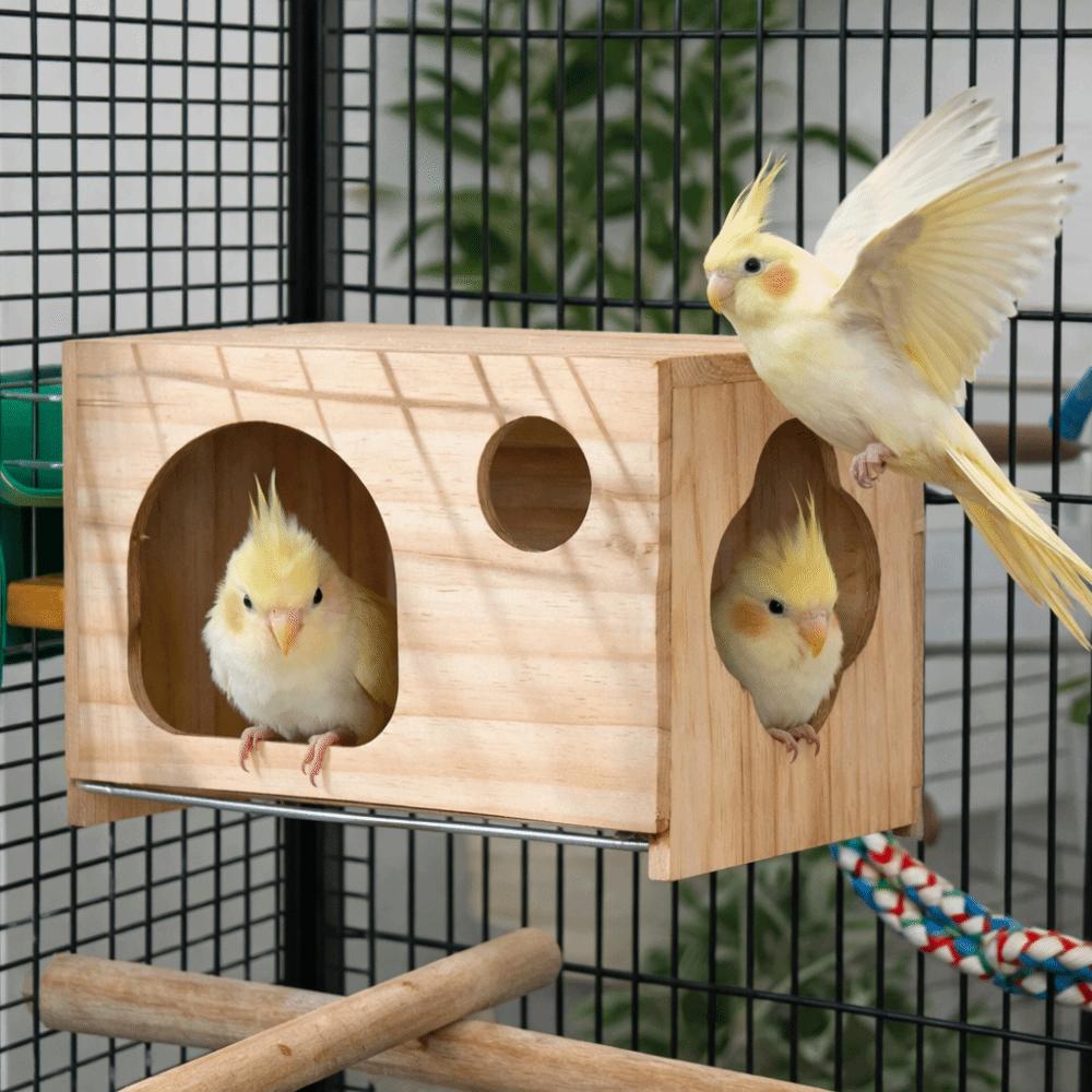 Grande Cage d'Élevage de Perroquets Respirante Boîte de Reproduction de Perroquets Maison d'Oiseaux en Bois Élevage de Perroquets