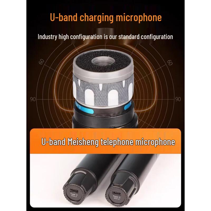 SANSUI E81 Home KTV Audio System CN Plug (adapter Included)