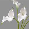 10pcs Artificial Flowers Centerpiece for Dining Table EVA Plastic 56cm Tall Stems Lifelike Calla Lily Realistic Texture