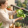 Funny Resin Frog Flower Pot Cartoon with Drainage Hole Succulent Planter Decorative Plant Holder Balcony Decor