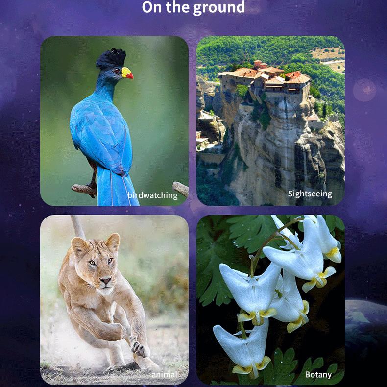 Professionelles F30070 HD Refraktorteleskop 150-fache Vergrößerung Leicht Tragbar Ideal für Konzerte Camping und Outdoor