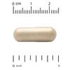 Organic Mushrooms + Ginger, 60 Veggie Capsules
