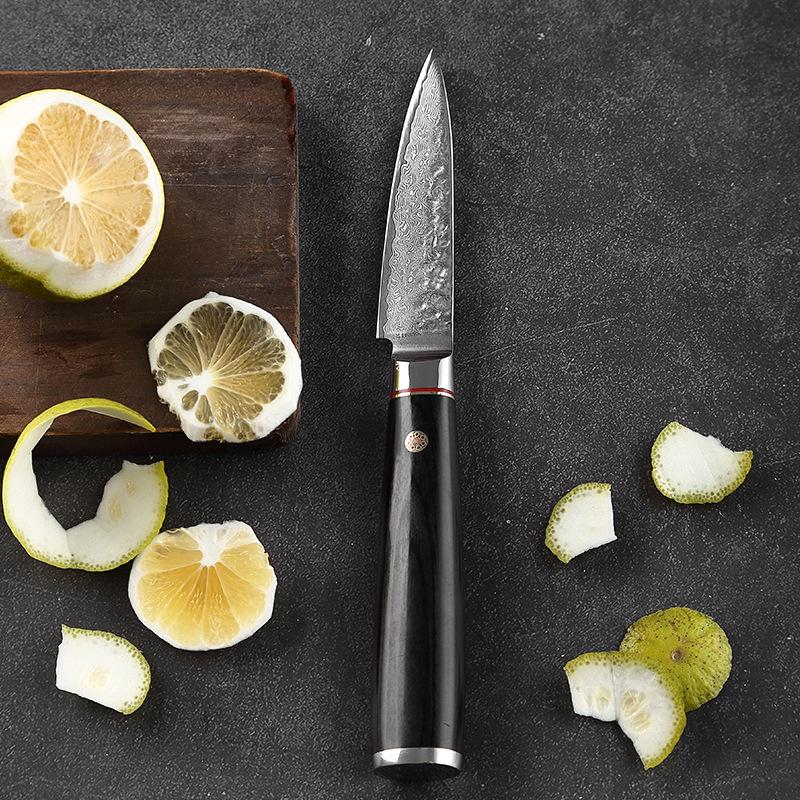 67Layers Damascus Steel Paring Knife 3.5-inch Household Kitchen Peeler Fruit Petty Vegetable Multifunctional Utility Knives