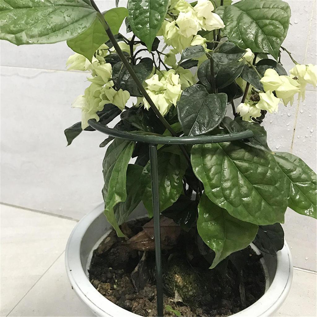 Exttlliy Plastic Arcuated DIY Plant Support Garden Climbing- Flower 4Pcs