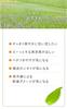 Natural Island Japanese Mint Refreshing Refreshing with an Invigorating Treats Stickiness and Made In Japan Shampoo, 400ml, Scent, Odor,