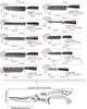 Damascus Laser Japanese Chef Knife Scissor Set Professional Kitchen Knives Santoku Knife Stainless Steel Boning Utility Knife