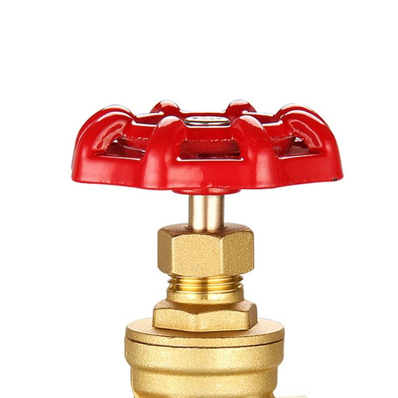 IceYu Brass Gate Valve