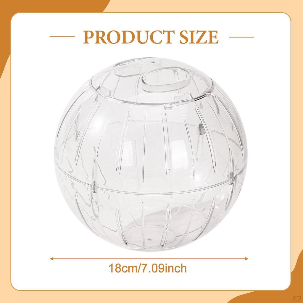 Hamster Übungsball Interaktiv Erhöht Aktivität Stilvoll Meerschweinchen Spielzeug für Kleintiere