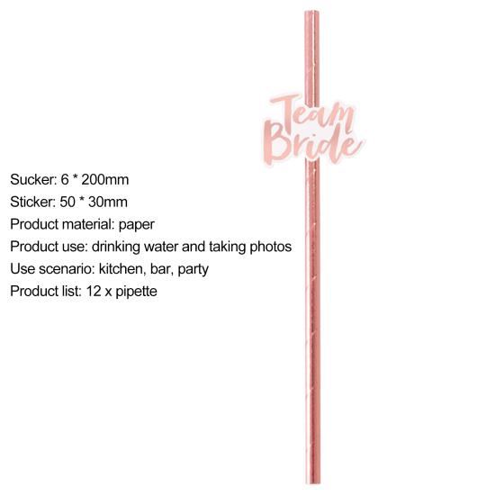 12Pcs Team Bride Straws Letter Design Rose Golden Gilding Straight Photo Props Bachelorette Party Straws for Party