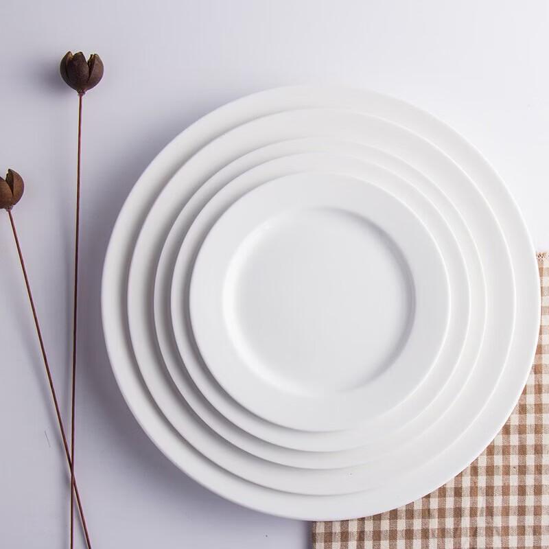 

Pure White Ceramic Dinner Plate