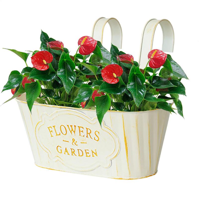Oval Metal Hanging Flower Pots Hangable Railing Planter Countryside Window Flower Boxes For Garden Yard, Fence Plant Pots