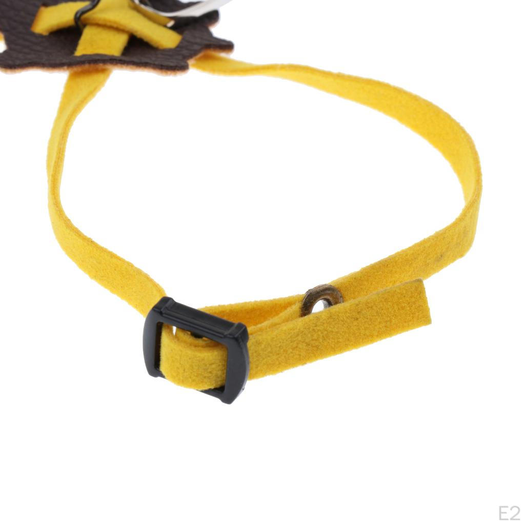 Pet Traction