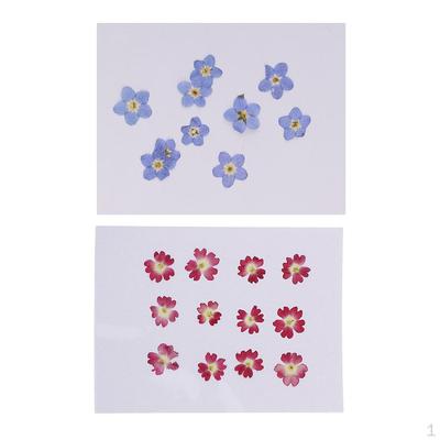 22 Pezzi Mini Fiori Secchi Naturali Verbena Abbellimento per Ciondoli Fai-da-Te Charms Unghie