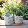 Design Criativo Vasinho de Flor Carnuda de Cimento para Casa Bom para Escritório Cerâmica Grossa Planta Verde Planta em Vaso Mini Vaso de Cerâmica Pequeno