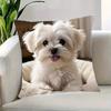 1Pc Maltese Dog Tongue Out Cute Printed Throw Pillow Cover, Suitable For Sofa, Bedroom, Living Room, Healing Gift For Dog Lovers