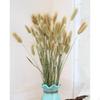 Dried for Arrangements Home Decor Flower Bouquet Photo Props Party and Wedding