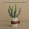 Nordic Faux Succulent Plant Decor