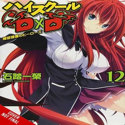 High School DxD Vol. 12 Light Novel by MiyamaZero MiyamaZero Paperback Book 9781975350383