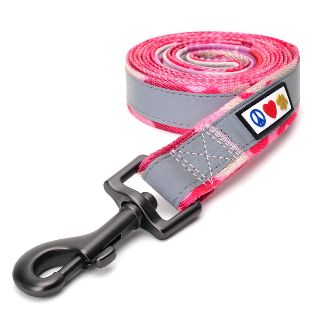 Pawtitas Padded Leash