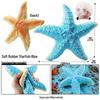 Ocean Crab Simulation Toy Set: Includes Hermit, Swimming, and Three-Spot Plastic Models