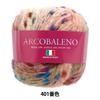 SKIYARN Yarn Color Autumn/Winter "Arcobaleno 401"