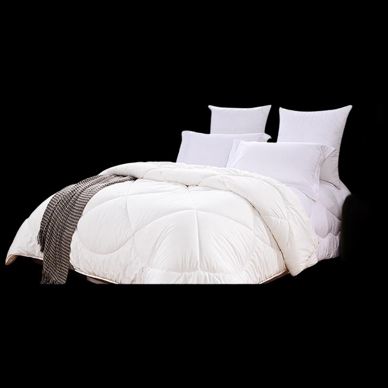 Fu Anna Warm Dream Anti-bacterial Wool Quilt