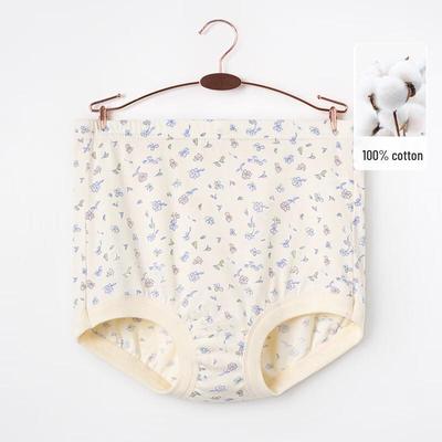 YUZHAOLIN Women's Floral Print Cotton Safety Shorts