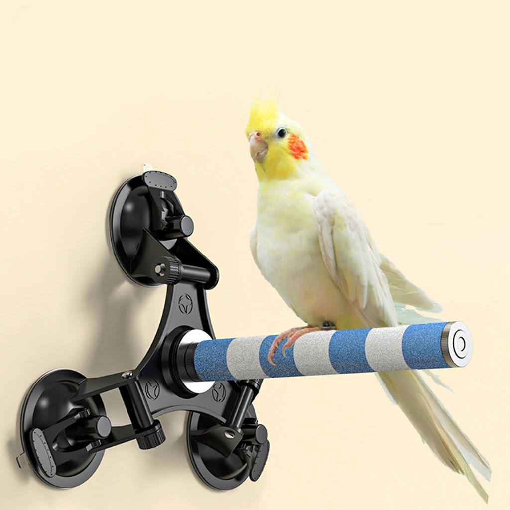 Bird Perch Ceramics Stand for Parrots Conure Supplies Budgies Grinding Scratcher for Small Medium Parrots Rack Toy