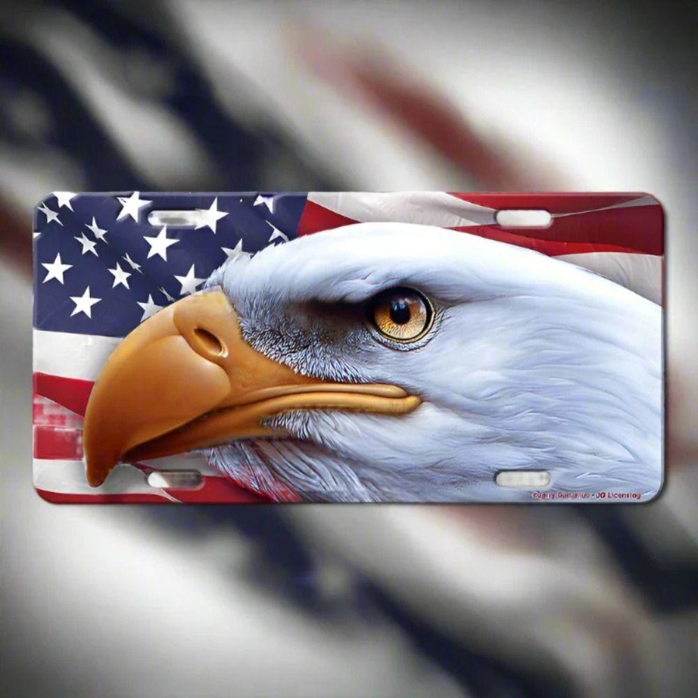American Eagle Eye Close-Up USA Flag Metal Sign, Realistic Detailed Wall Decor 30x15 cm