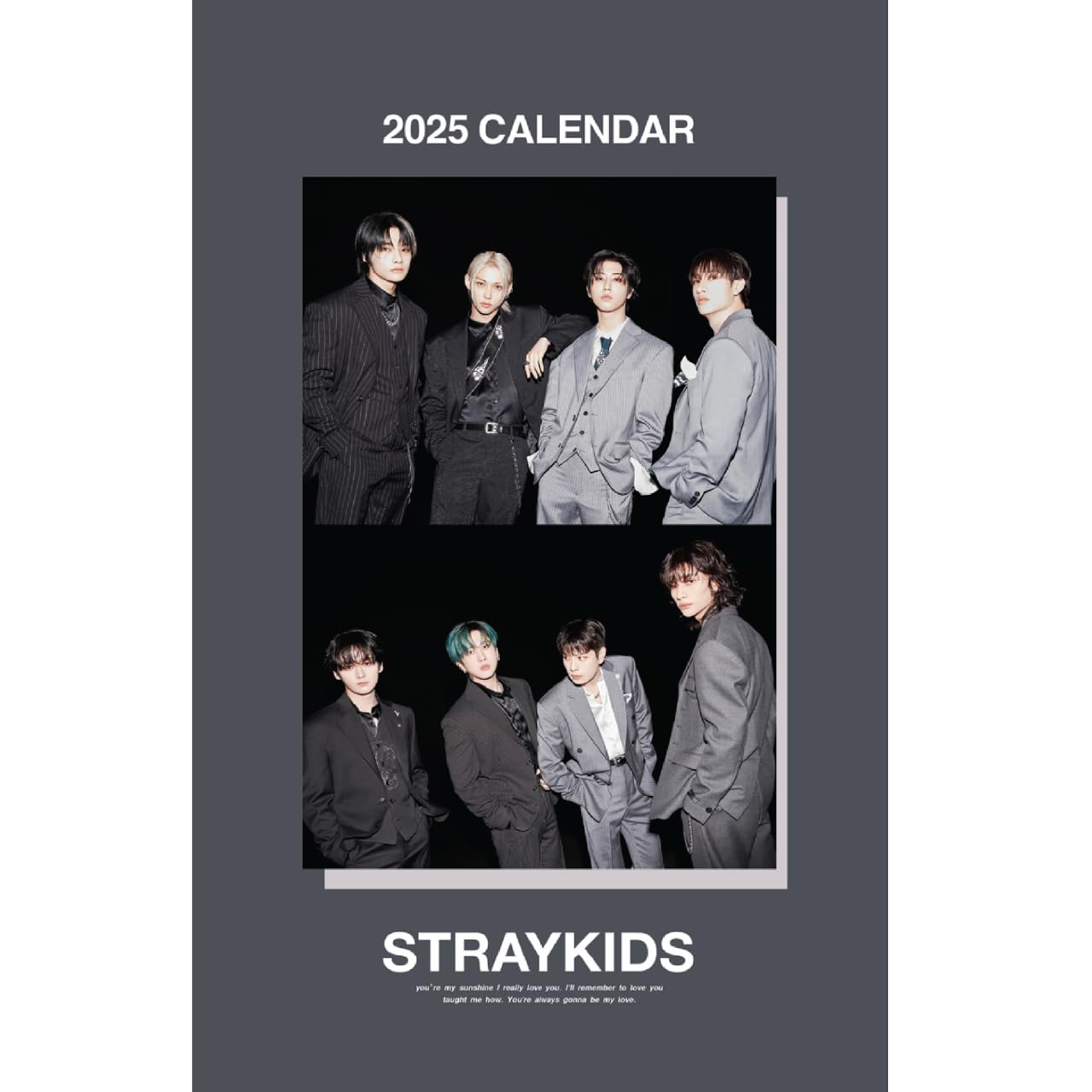 

2025 Wall Calendar Wall [K-STAR Calendar] (StrayKids 03)