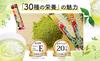 Kenkou Honpo Powdered Green Tea, Ocha Irete Myo-o [30 Types of Nutrients 1g X 12 Sticks Powder Type] Healthy Tea, Made In Japan, Kakegawa, Shizuoka