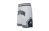 Jordan Sport Diamond Dri Fit Shorts FV8613-100