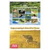 2026 Wall Calendar Dog Pooping/Angry Cat Calendar January 2026 - December 2026