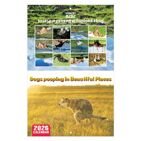 2026 Wall Calendar Dog Pooping/Angry Cat Calendar January 2026 - December 2026