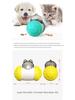New Hot-Selling Slow Feeder Tumbler Balance Car Dog Toy