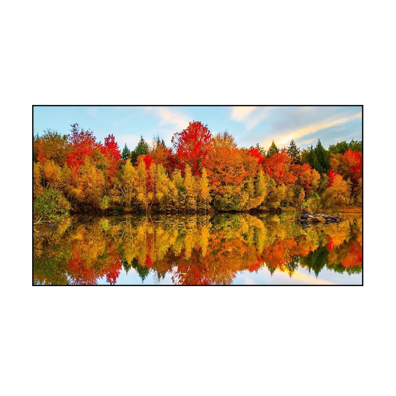 JINGMI Anti-Light Fixed Frame Projection Screen