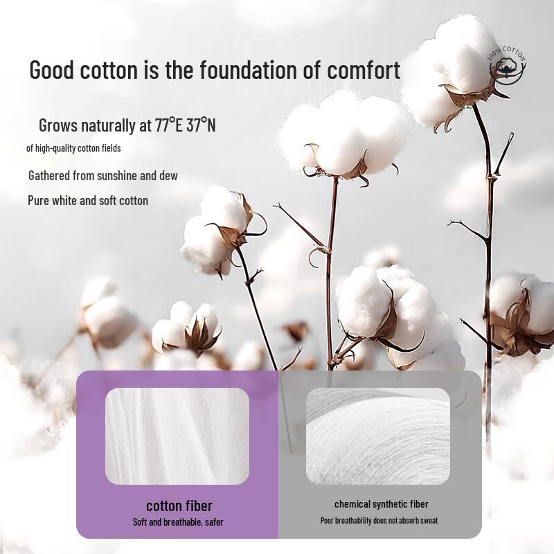 Freego High-Waist Disposable Cotton Postpartum Briefs